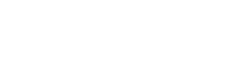 nupass.cl